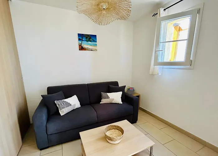 Apartment T2 Sur Le Port De Plaisance De